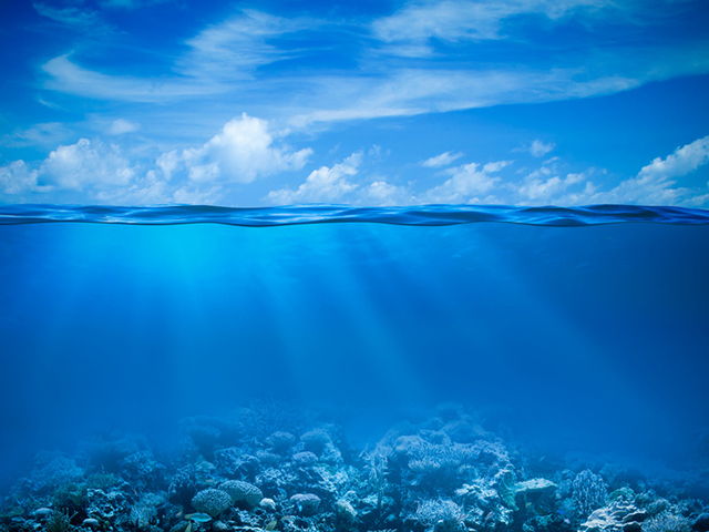 Underwater coral reef seabed view with horizon and water surface