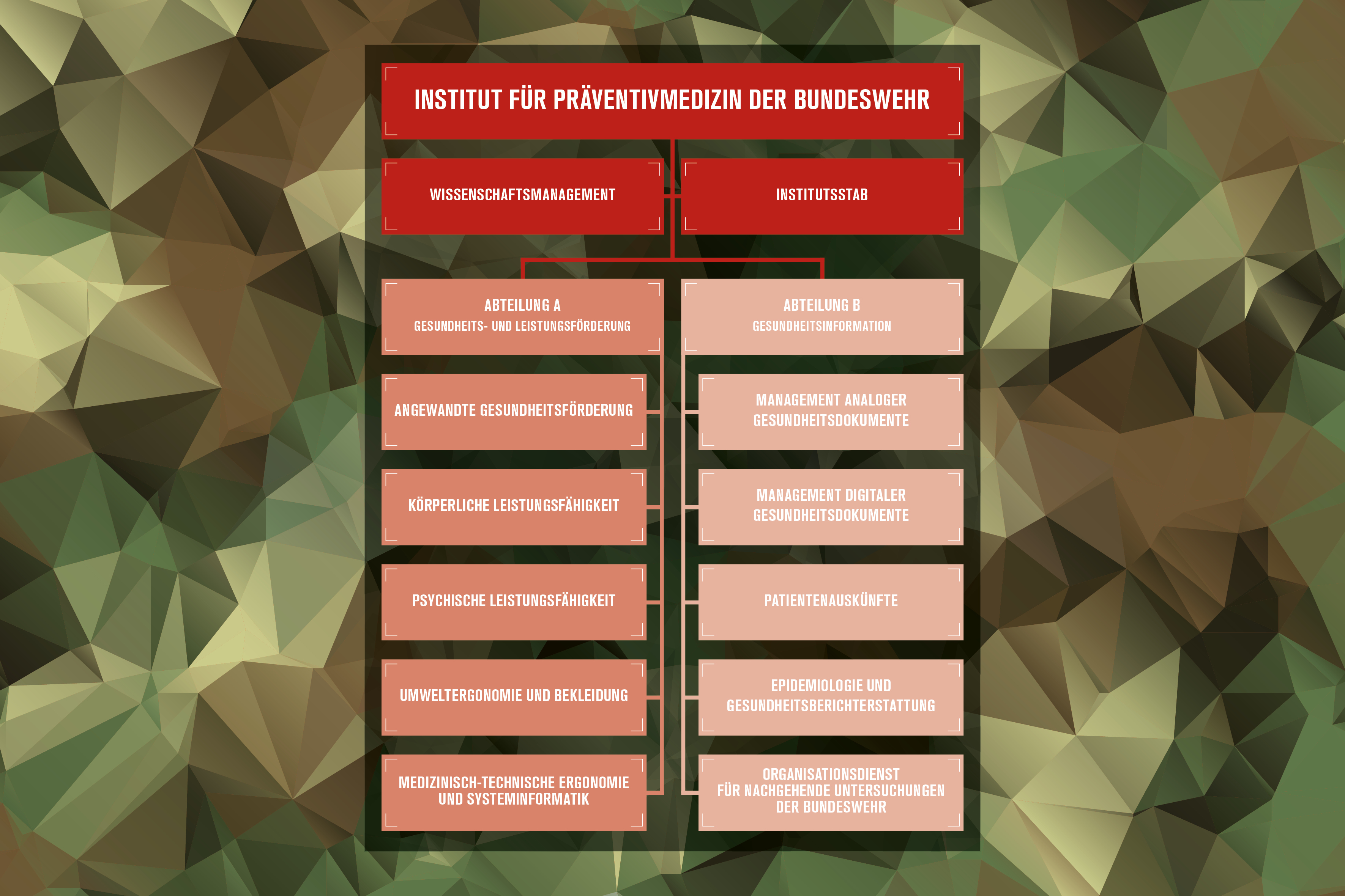 Die Organisationsstruktur des Instituts Darstellung des Institutsaufbaus auf roten Rechtecken mit den Bereichsbezeichnungen auf polygonem Hintergrund