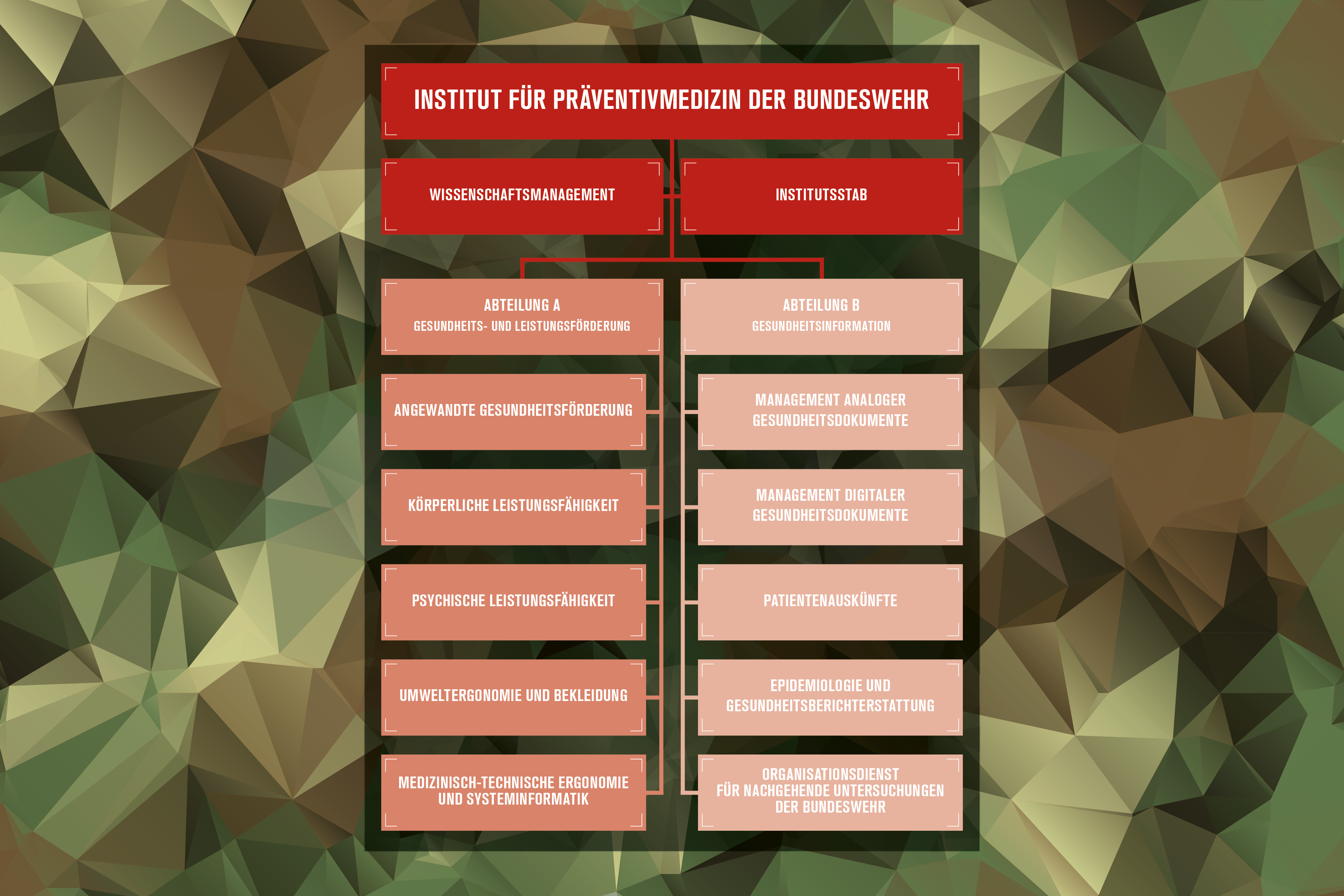 Darstellung des Institutsaufbaus auf roten Rechtecken mit den Bereichsbezeichnungen auf polygonem Hintergrund