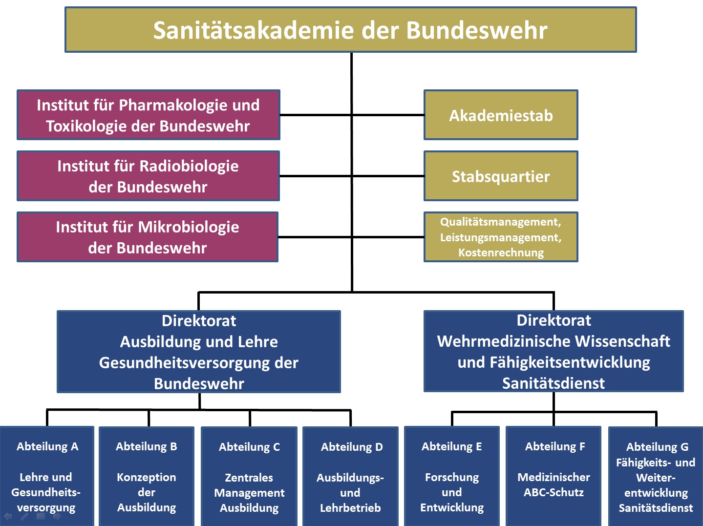Textfelddiagramm mit den Abteilungen der Sanitätsakademie