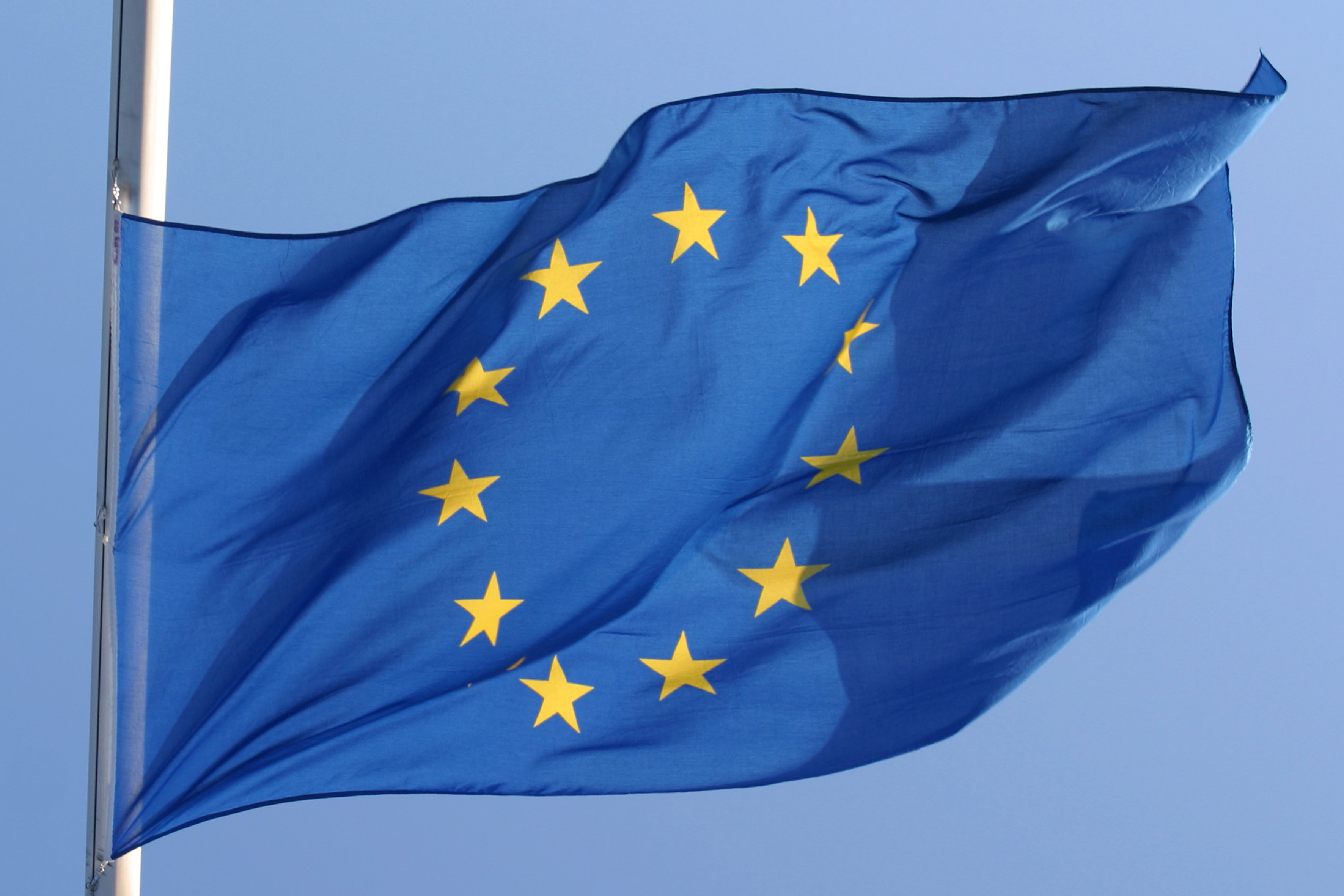 Wehende blaue Flagge mit einem Kreis aus zwölf goldenen Sternen