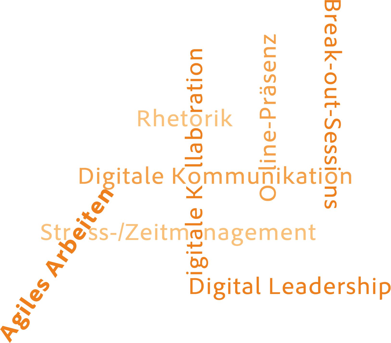 Eine Wortwolke mit Stichworten zum Thema Leadership Level I