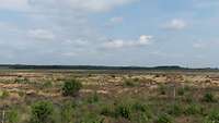 Blick auf eine Moorlandschaft