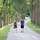 Soldat mit Partnerin und Kind beim Sparziergang in einer Allee