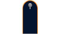 Picture of Rank Insignia Basic airman (OR-1) for service dress