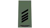 Picture of Senior airman (OR-4) for field dress