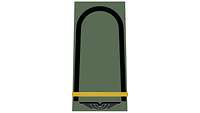 Picture of Rank Insignia Sergeant (OR-5), senior NCO candidate, for field dress