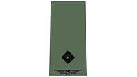 Picture of Rank Insignia Second lieutenant (OF-1) for field dress