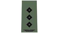 Picture of Rank Insignia Captain (OF-2) for field dress