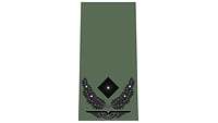 Picture of Rank Insignia Major (OF-3) for field dress