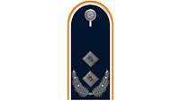 Picture of Rank Insignia Lieutenant colonel (OF-4) for service dress