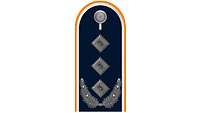 Picture of Rank Insignia Colonel (OF-5) for service dress