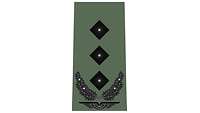 Picture of Rank Insignia Colonel (OF-5) for field dress