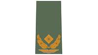Picture of Rank Insignia Brigadier general (OF-6) for field dress