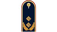 Picture of Rank Insignia Major general (OF-7) for service dress