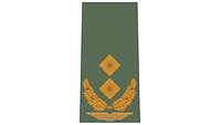 Picture of Rank Insignia Major general (OF-7) for field dress