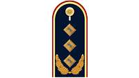 Picture of Rank Insignia Lieutenant general (OF-8) for service dress