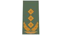 Picture of Rank Insignia Lieutenant general (OF-8) for field dress