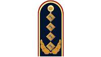Picture of Rank Insignia General (OF-9) for service dress