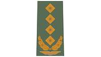 Picture of Rank Insignia General (OF-9) for field dress