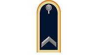 Picture of Rank Insignia Technical sergeant (OR-6) for service dress