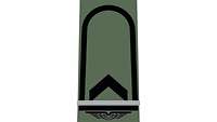 Picture of Rank Insignia Junior officer cadet (OR-6), officer candidate, for field dress