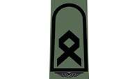 Picture of Rank Insignia Master sergeant (OR-7) for field dress