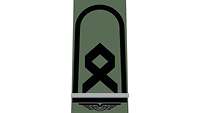 Picture of Rank Insignia Senior officer cadet (OR-7/OR-8), officer candidate, for field dress