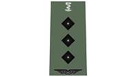 Picture of Rank Insignia Captain, Pharmacy Corps, Air Force (OF-2), for field dress