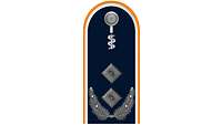 Picture of Rank Insignia Lieutenant Colonel, Medical Corps, Air Force (OF-4), for service dress