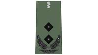 Picture of Rank Insignia Lieutenant Colonel, Medical Corps, Air Force (OF-4), for field dress