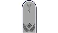 Picture of Rank Insignia Major, Veterinary Corps, Army (OF-3), for service dress