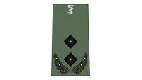 Picture of Rank Insignia Lieutenant Colonel, Pharmacy Corps, Army (OF-4), for field dress