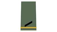 Picture of Rank Insignia Private E-2 (OR-2), senior NCO candidate, for field dress