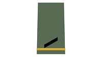 Picture of Rank Insignia Private E-2 (OR-2), senior NCO candidate, for field dress