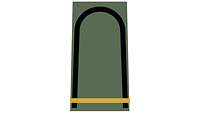Picture of Rank insignia Sergeant (OR-5), senior NCO candidate, for field dress