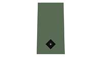 Picture of Rank Insignia Second lieutenant (OF-1) for field dress