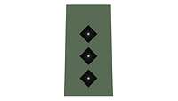 Picture of Rank Insignia Captain (OF-2) for field dress