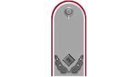 Rank Insignia Major (OF-3) for service dress
