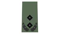 Picture of Rank Insignia Lieutenant colonel (OF-4) for field dress