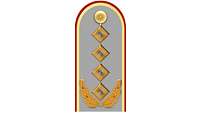 Picture of Rank Insignia General (OF-9) for service dress