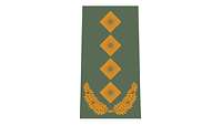 Picture of Rank Insignia General (OF-9) for field dress