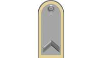 Picture of Rank Insignia Staff sergeant (OR-6) for service dress