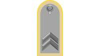 Picture of Rank Insignia Staff sergeant, senior grade (OR-6), for service dress