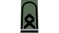 Picture of Rank Insignia Senior officer cadet (OR-7), officer candidate, for field dress