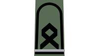 Picture of Rank Insignia Senior officer cadet (OR-7), officer candidate, for field dress