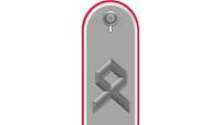 Picture of Rank Insignia Senior officer cadet (OR-7), officer candidate, for service dress