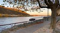 Andernach am Rhein Rheinpromenade in Andernach