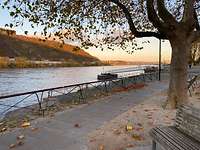 Andernach am Rhein Rheinpromenade in Andernach
