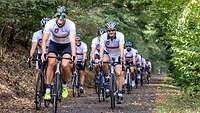 Radfahrer in einheitlichen Trikots radeln über einen Waldweg